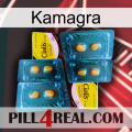 Kamagra cialis5